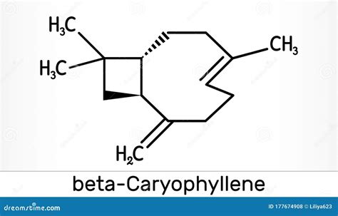 beta caryophyllene|Beta.